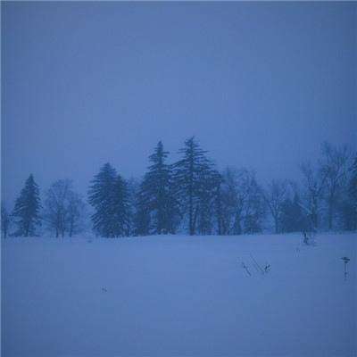 BOB·体育手机APP