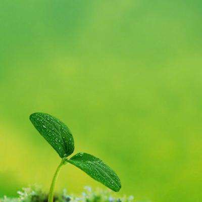 ng体育电子游戏app下载