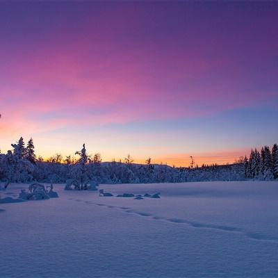 美高梅mgm集团4688