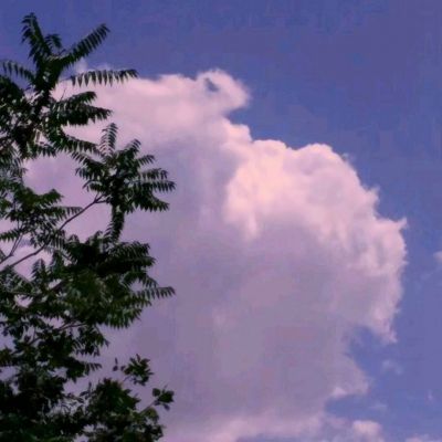 华体会体育下载手机版