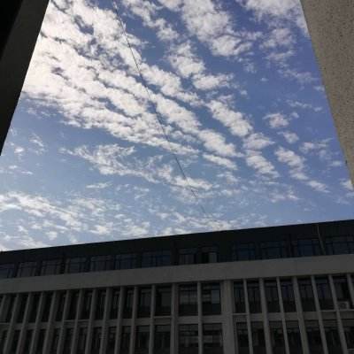 华体会体育下载手机版